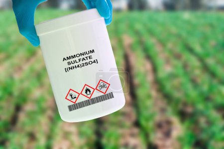 Photo for Container of ammonium fertiliser in hand containing nitrogen and sulphur, used to provide nutrients to plants. - Royalty Free Image