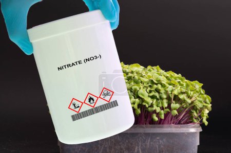 Container of nitrate (NO3-) in hand. Nitrogen compound, fertiliser, soil, water.