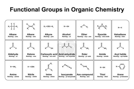 Functional groups in organic chemistry, illustration.