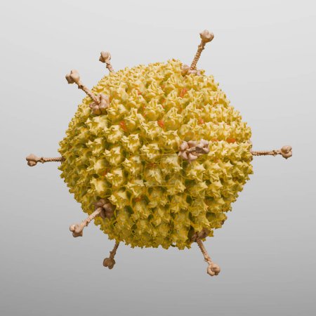Téléchargez les photos : 3d Illustration d'une particule d'adénovirus sur fond gris - en image libre de droit