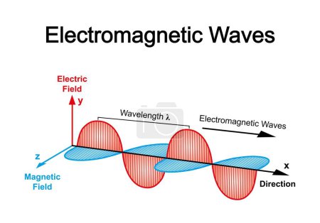 Electromagnetic waves graph, illustration.