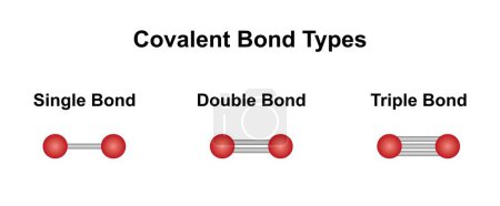 Scientific designing of Covalent bond types, illustration.