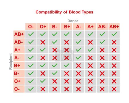 Diseño científico de la compatibilidad del tipo de sangre ABO, ilustración.