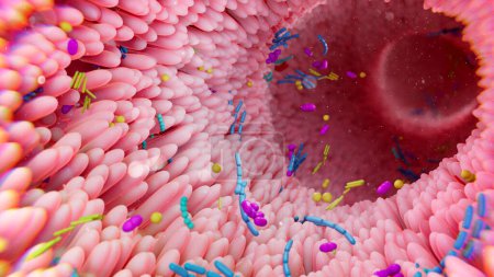 Téléchargez les photos : Bactéries dans le cadre du microbiome intestinal dans le tube digestif illustration 3d - en image libre de droit