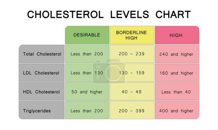 Foto de Diseño científico de la carta de niveles de colesterol, ilustración. - Imagen libre de derechos