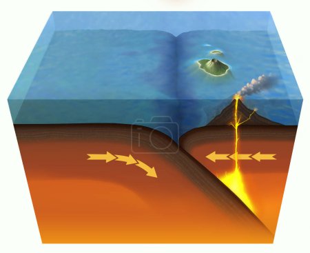 Illustration einer konvergenten tektonischen Plattengrenze, an der sich eine tektonische Platte unter der anderen bewegt (Subduktion), während sie kollidiert (Schub oder Reverse Faulting)).