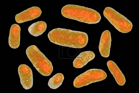 Téléchargez les photos : Illustration de la bactérie haemophilus influenzae, connue pour causer des infections respiratoires comme la pneumonie et la méningite. - en image libre de droit