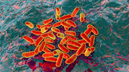 Photo for Illustration of haemophilus influenzae bacteria, known for causing respiratory infections like pneumonia and meningitis. - Royalty Free Image