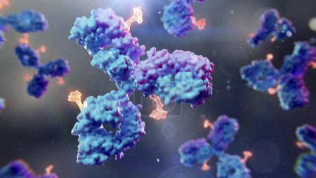 Illustration von Antikörper-Wirkstoff-Konjugaten. Antikörper-Wirkstoffkonjugate können aus einem monoklonalen Antikörper (blau / lila) und einer zytotoxischen Nutzlast (orange) bestehen, um bestimmte Zellen im Körper anzugreifen und zu zerstören.