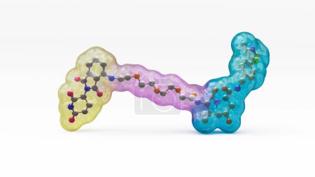 Téléchargez les photos : Illustration de la structure d'une molécule de dégradation des protéines ciblée, telle qu'une chimère de ciblage de la protéolyse (PROTAC). Les dégradateurs de protéines ciblés sont de petites molécules composées de deux ligands (jaune et cyan) reliés par un liant (violet). - en image libre de droit
