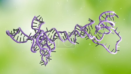 Foto de Ilustración de un obelisco ARN (ácido ribonucleico). Los obeliscos de ARN son fragmentos similares a viroides de ARN que se han encontrado replicándose en bacterias en la boca y el intestino humano.. - Imagen libre de derechos