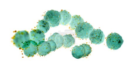Ilustración conceptual de obeliscos de ARN (ácido ribonucleico) (amarillo) y Streptococcus sp. bacterias (verde). Los obeliscos de ARN son fragmentos similares a viroides de ARN que se han encontrado replicándose en bacterias en la boca y el intestino humano.. 