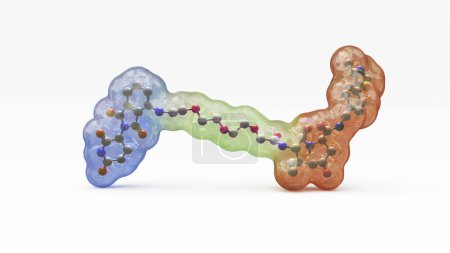 Téléchargez les photos : Illustration de la structure d'une molécule de dégradation des protéines ciblée, telle qu'une chimère de ciblage de la protéolyse (PROTAC). Les dégradateurs de protéines ciblés sont de petites molécules composées de deux ligands (bleu et orange) reliés par un linker (vert). - en image libre de droit