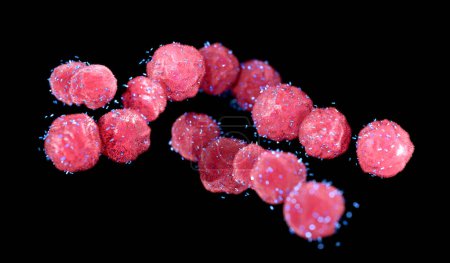 Téléchargez les photos : Illustration conceptuelle des obélisques ARN (acide ribonucléique) (bleu) et Streptococcus sp. bactéries (rose). Les obélisques à ARN sont des fragments d'ARN de type viroïde qui se répliquent dans les bactéries de la bouche et de l'intestin humains.. - en image libre de droit