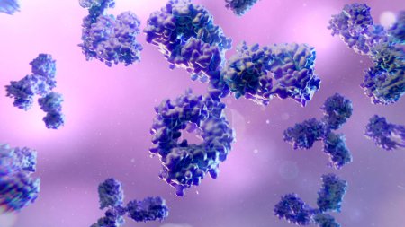 Téléchargez les photos : Illustration des anticorps, basée sur la structure 3D de l'immunoglobuline humaine G1 (IGG1). - en image libre de droit