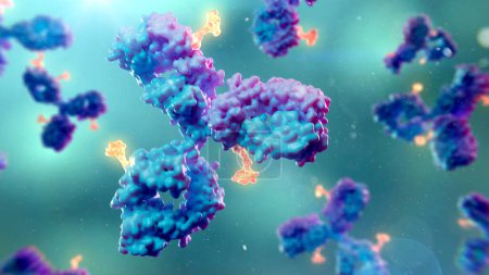 Illustration von Antikörper-Wirkstoff-Konjugaten. Antikörper-Wirkstoffkonjugate können aus einem monoklonalen Antikörper (blau / lila) und einer zytotoxischen Nutzlast (orange) bestehen, um bestimmte Zellen im Körper anzugreifen und zu zerstören.