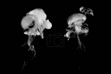 Foto de White ink dropped in to water isolated black background. Abstract white color dissolving in water - Imagen libre de derechos