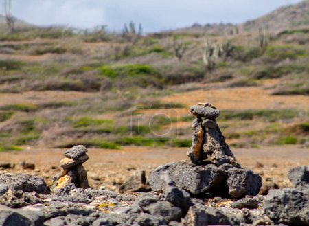Foto de Lizard on the rocks in the desert of the island of Curacao - Imagen libre de derechos