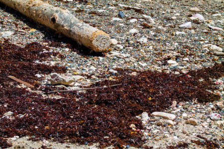 Nahaufnahme eines Müllhaufens am Strand. Umweltverschmutzungskonzept.
