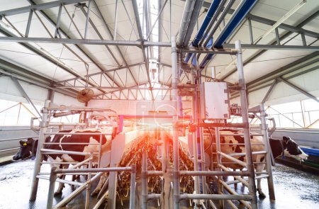 Foto de Tecnologías industriales de la producción lechera. Fábrica de leche de vaca. - Imagen libre de derechos