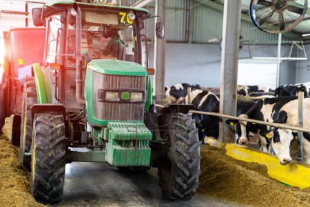 Foto de Tractor agrícola en una granja lechera. Maquinaria agrícola en hangar. - Imagen libre de derechos