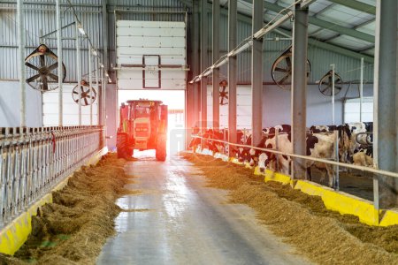 Foto de Maquinaria agrícola en el hangar. Tractor agrícola en una granja lechera. - Imagen libre de derechos