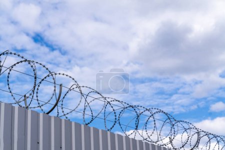 Barbed wire and razor wire crossing. Security dangerous barricade.
