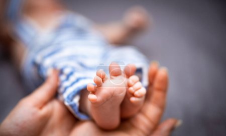 Foto de Madre sosteniendo pies de bebé recién nacido en las manos. Pie de bebé recién nacido. Los pequeños dedos de los pies del bebé en la manta gris. Los pies pequeños de un niño. - Imagen libre de derechos