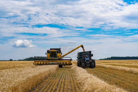 Große landwirtschaftliche Maschine für Getreide, die auf dem Feld arbeitet. Industrielle Mähdrescher sammeln rioe Weizenfeld.