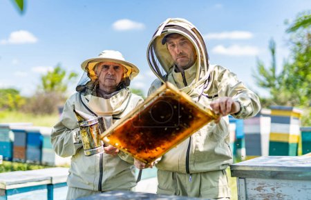 Téléchargez les photos : Ouvrier cultivateur de miel dans le rucher. Apiculteur mâle sortant le miel de la ruche. - en image libre de droit