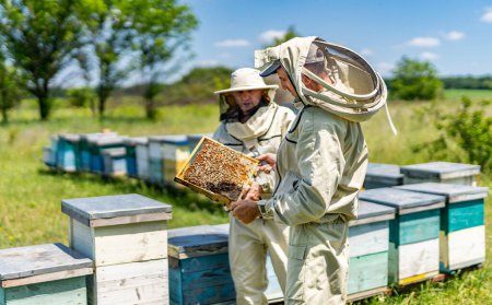 Téléchargez les photos : L'apiculteur mâle sort le miel de la ruche. Producteur de miel dans le rucher. - en image libre de droit