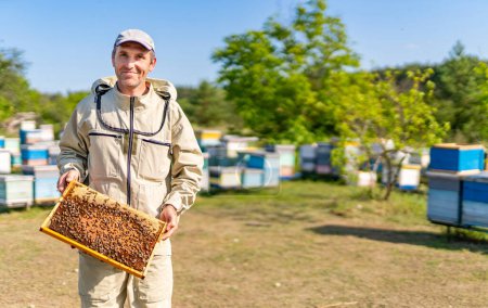 Téléchargez les photos : Cadres en bois nid d'abeille à enlever. Apiculture concept d'agriculture biologique du miel. - en image libre de droit