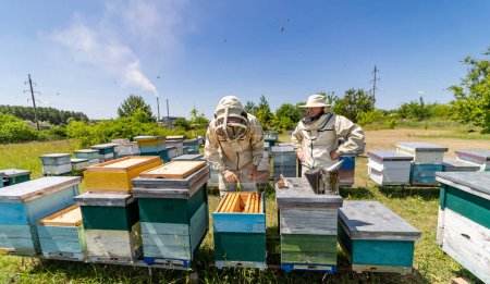 Two men standing near a swarm of bees. A couple of men standing next to a bunch of bees