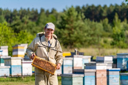 Mann mit einem Bienenstock inmitten einer Gruppe Bienenstöcke in einem Imkereibetrieb. Ein Mann hält einen Bienenstock vor einem Haufen Bienenstöcke
