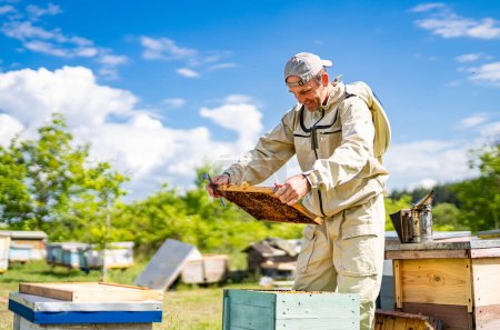 Téléchargez les photos : Un apiculteur tenant une ruche en costume de protection. Un homme en costume d'abeille tient une ruche - en image libre de droit