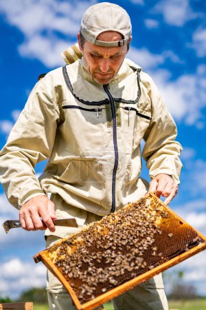 Un hombre con un traje de abeja sosteniendo un marco lleno de abejas