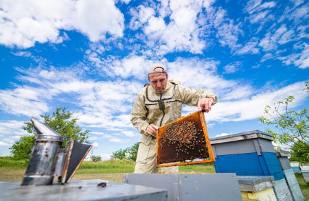 Téléchargez les photos : Un apiculteur tenant une ruche en costume de protection. Un homme en costume d'abeille tenant une ruche - en image libre de droit