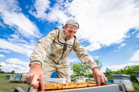 Téléchargez les photos : Un apiculteur inspecte une ruche alors qu'il porte une combinaison de protection. Un homme en costume d'abeille inspectant une ruche - en image libre de droit