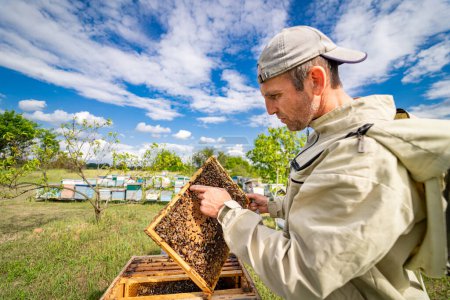 Téléchargez les photos : Un homme en chapeau inspecte une ruche. - en image libre de droit