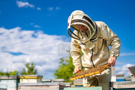 Un hombre en traje de abeja inspeccionando una colmena