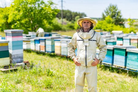 Téléchargez les photos : Un homme observant une rangée de ruches dans un cadre tranquille. Un homme debout devant une rangée de ruches - en image libre de droit