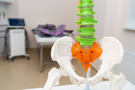 Medical mockup of the human spine. Concept of practicing with vertebral disc.