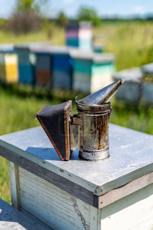 Téléchargez les photos : Une ruche bourdonnante avec un seau en métal inattendu. Une ruche avec un seau en métal dessus - en image libre de droit