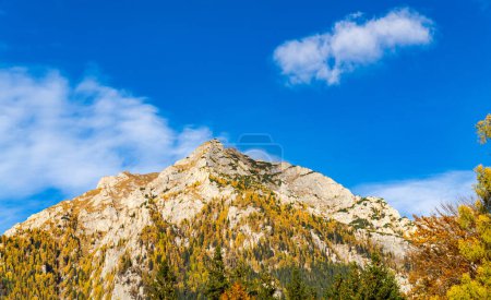 Foto de Un majestuoso pico de montaña rodeado de exuberantes árboles verdes y naturaleza serena. Una vista de una montaña con árboles en primer plano - Imagen libre de derechos