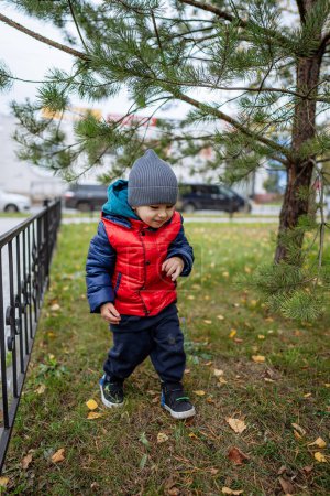 Téléchargez les photos : A Curious Little Boy Exploring Nature's Playground by the Fence. Un petit garçon debout dans l'herbe près d'une clôture - en image libre de droit