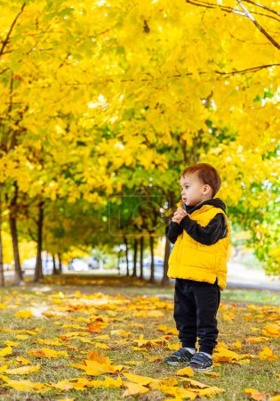 Téléchargez les photos : Petit garçon debout dans les feuilles d'arbre. Un petit garçon se tient au milieu des feuilles tombées d'un arbre. - en image libre de droit