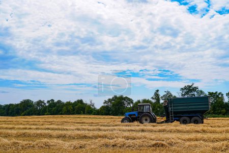 Photo for Tractor collects the hay in field against the blue sky - Royalty Free Image