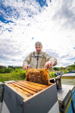 Téléchargez les photos : L'apiculteur travaille avec les abeilles et les ruches sur le rucher. Beeke ! - en image libre de droit