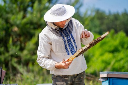 Téléchargez les photos : Un homme avec un chapeau blanc et une chemise blanche tient un morceau de bois avec des abeilles dessus - en image libre de droit