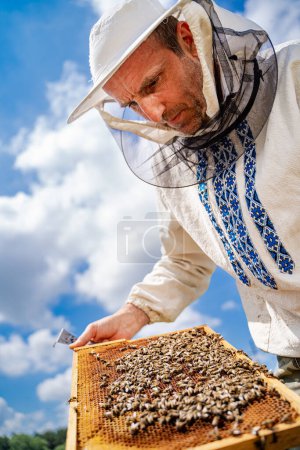 Téléchargez les photos : Un homme avec un chapeau blanc et une chemise bleue et blanche tient une boîte d'abeilles. Concept de curiosité et d'intérêt pour les abeilles - en image libre de droit